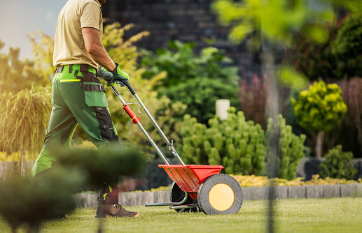 Caucasian Professional Gardener with Push Spreader Fertilizing Residential Lawn For a Good Health and Appearance of the Grass. Garden Maintenance.
