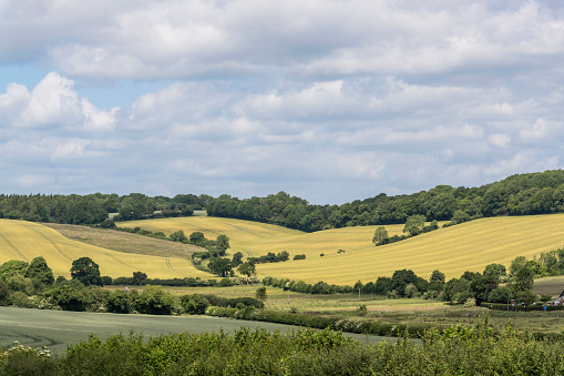 Rural landscape on a beautiful sunny day, Piccotts End village in Hertfordshire, England, UK