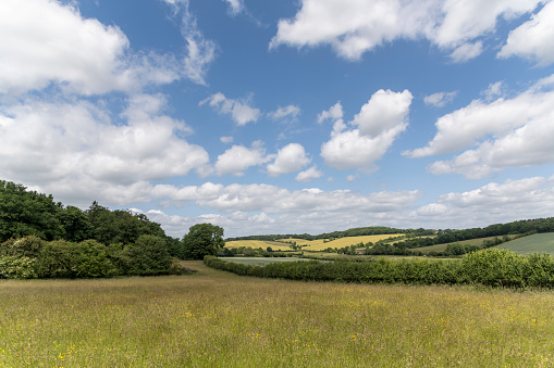 Farmland View of a Green Field in Rural England