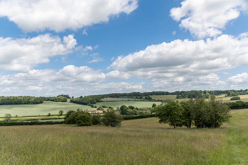 Grasslands and farmland on a hills on a beautiful summer's day, Hertfordshire, UK.