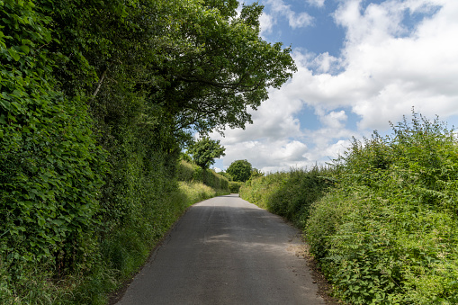 Empty narrow road on a beautiful summer's day, Hertfordshire, UK.
