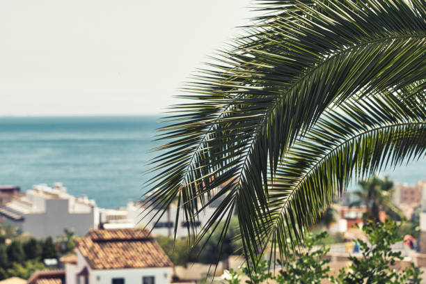 Fuengirola, Spain - August 19, 2022. Typical landscape of Andalusia, with its white villages in southern Spain. Palm trees and acacias are visible in the foreground. The Mediterranean Sea is visible in the background.