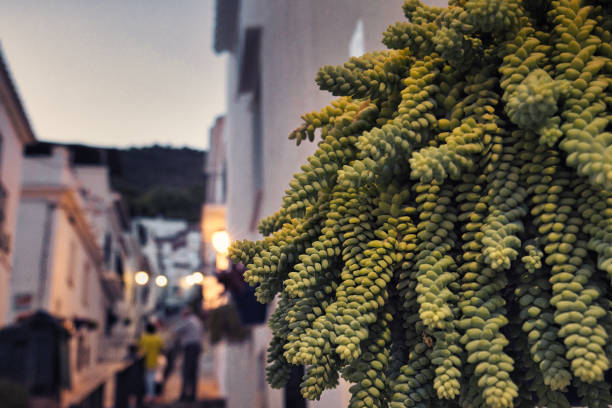 Mijas, Spain - August 20, 2022. Panoramic view of a white village, typical of the Costa Del Sol during sunset over the mountains of Andalusia.