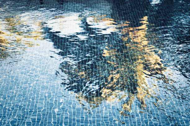 Fuengirola, Spain - August 21, 2022. Summer landscape in Andalusia. The silhouettes of Mediterranean pines and palm trees appear against the backdrop of a mosaic pool.