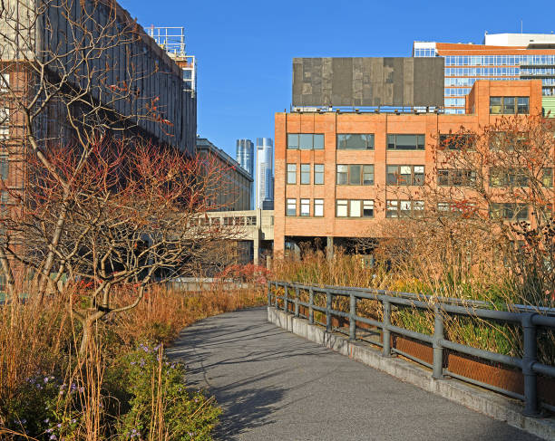 high line, elevated linear park, greenway and rail trail created on former new york central railroad spur on west side of manhattan in new york city. autumn - new york state new york city high line park urban scene imagens e fotografias de stock