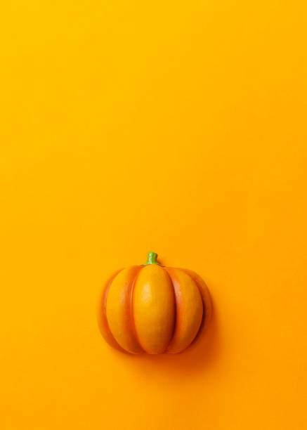 Pumpkin on color background. Halloween, harvest, etc.