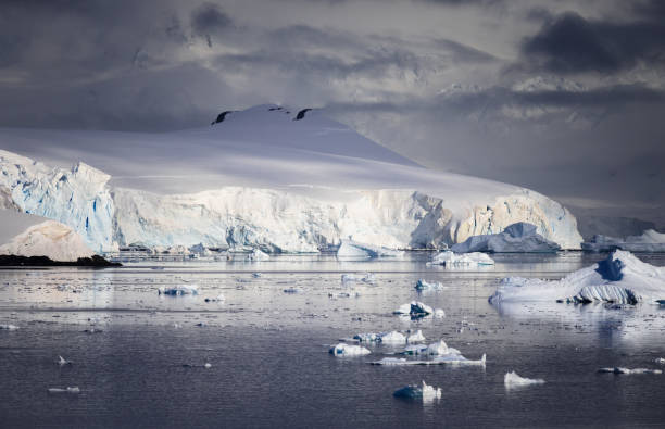 creación de icebergs a la luz del sol de la madrugada: antártida - ice shelf fotografías e imágenes de stock