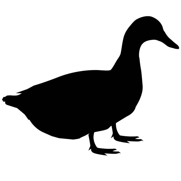 duck silhouette on white background. duck sign. flat style.