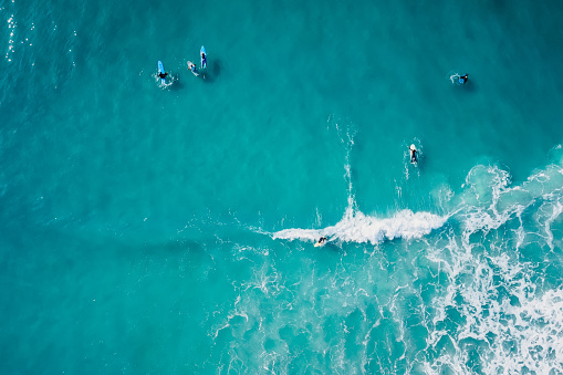 Surfers in blue transparent ocean and waves. Aerial view