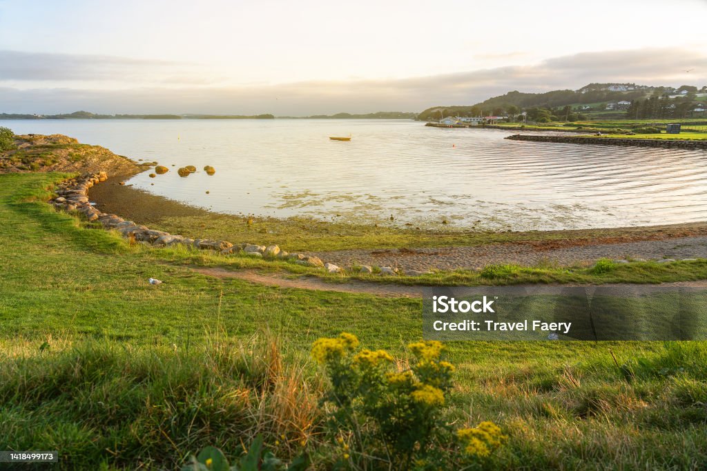 Norwegian fjords sea bay sunset landscape, Norway Norwegian fjords sea bay sunset landscape with summer meadow flowers, Norway Forest Stock Photo