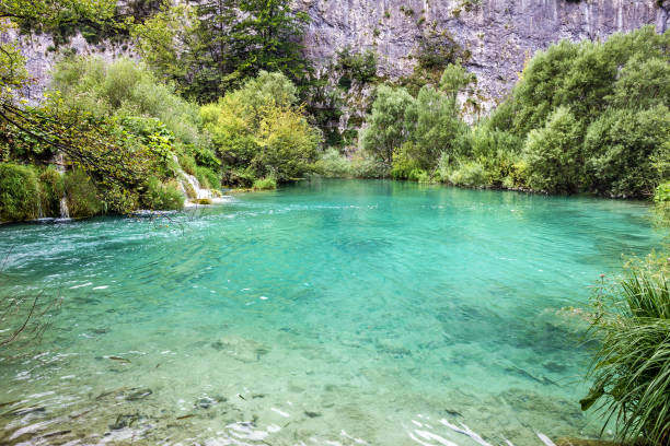 istock Croatia, Plitvice lakes national park 1418499325