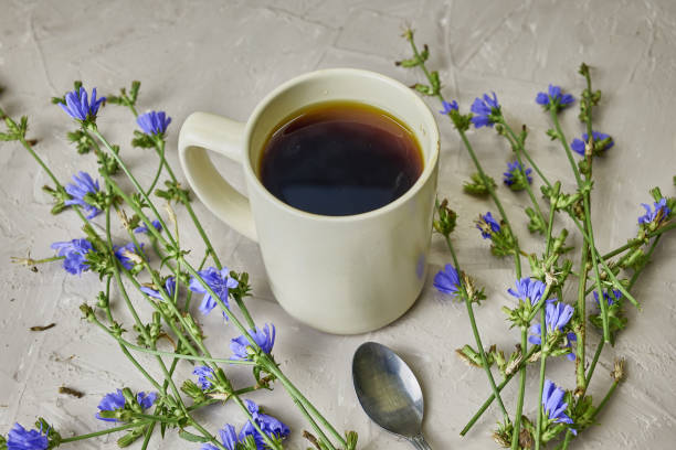 istock chicory powder in a coffee mug next to chicory flowers 1418501745