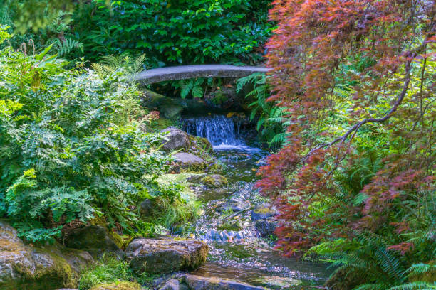istock Garden Plants And Pond 3 1418502884