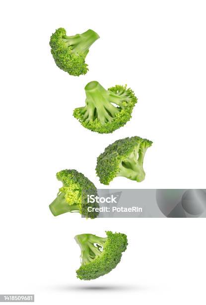 Piece Of Broccoli Falling In The Air Isolated On White Stock Photo - Download Image Now