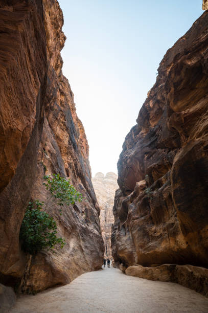 istock Siq passage at Petra ancient city in Jordan 1418510159
