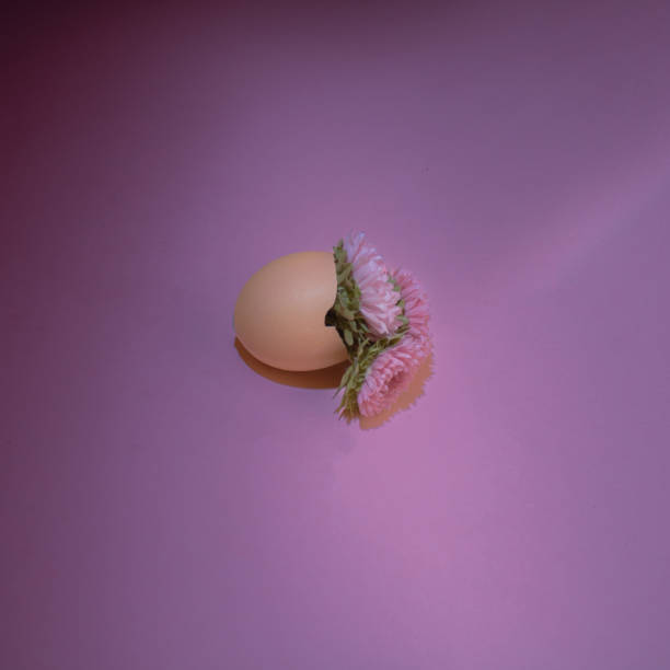 istock Three flowers in a broken egg on  purple  background. Flat lay concept. 1418515789