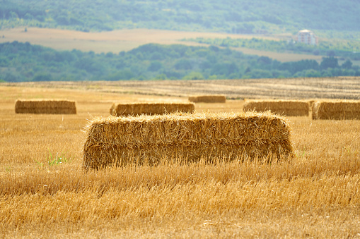 Scenic view of agricultural field with straw bales on stubble