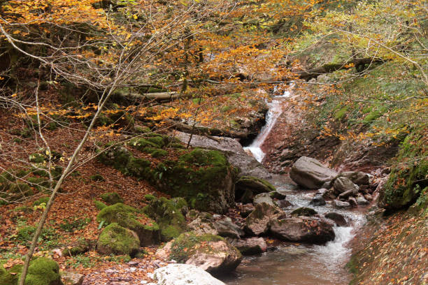 istock Creek and fallen leaves between rocks 1418531037