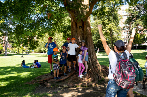 Pictures of young families enjoying themselves in the Boston Public Garden on a warm summer afternoon.