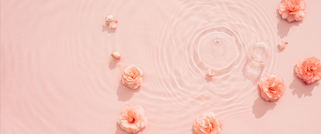Pink aquatic, transparent water texture with ripples and drops and pink flowers. Water background Spa concept and beauty backdrop Flat lay, top view, copy space Banner