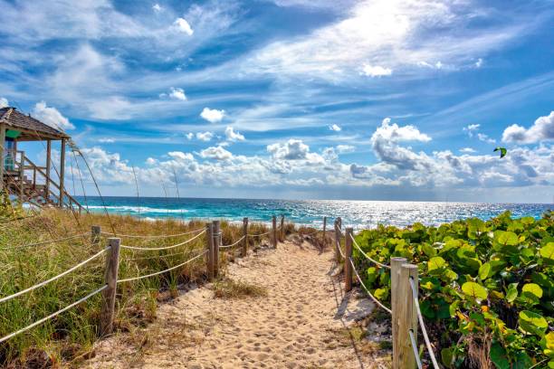 istock Pathway to a tropical beach on a sunny morning 1418534907