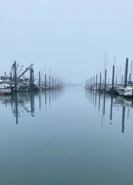 istock Foggy Day at the Docks 1418538834