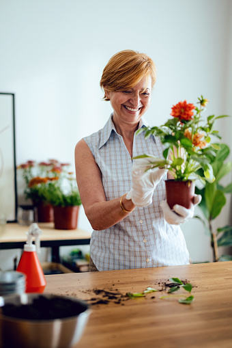 Happy mature woman planting flowers into a pot while standing at her workshop desk.