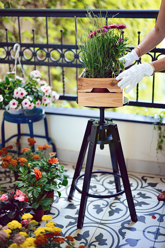 An anonymous mature woman putting flowers in a wooden crate while standing at her terrace.