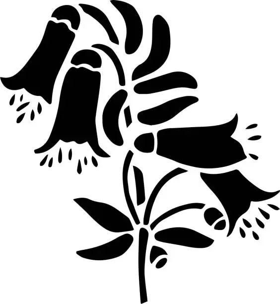 Vector illustration of Correa flower Vector Stencil, black and white