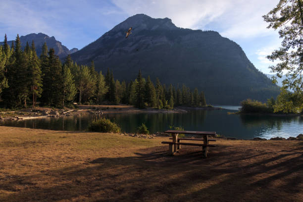 istock Lake Minnewanka view 1418554953