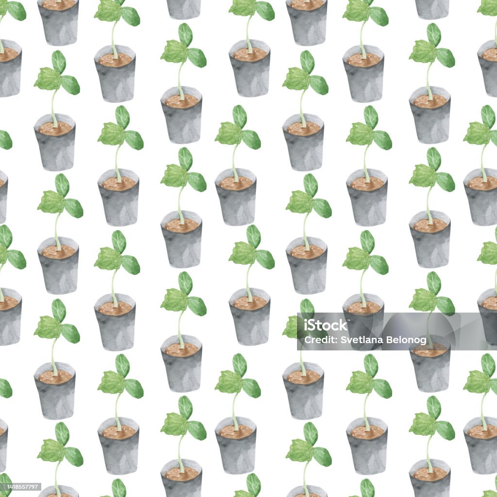 Simple Sprout Background Seamless Pattern With Cucumber Young Sprouts Vegetable Background For ...