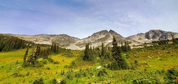 Beautiful alpine meadows and creek surrounded by mountains Beautiful alpine meadows and creek surrounded by mountains whistler mountain stock pictures, royalty-free photos & images