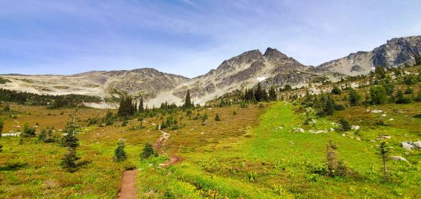 Beautiful alpine meadows and creek surrounded by mountains Beautiful alpine meadows and creek surrounded by mountains whistler mountain stock pictures, royalty-free photos & images