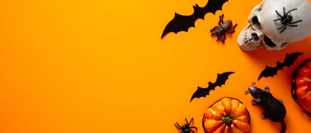 istock Halloween banner design template. Flat lay skull, pumpkins, bats on orange background. Top view, copy space. 1418570985