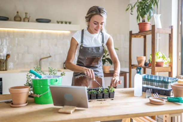 istock Young woman doing gardening at home 1418572241