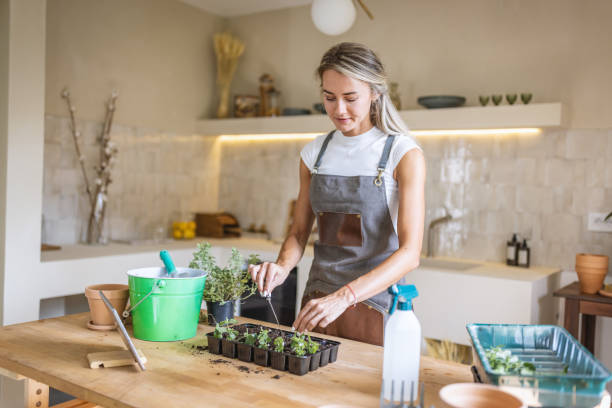 istock Young woman doing gardening at home 1418572267