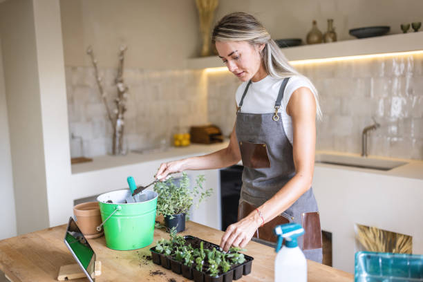 istock Young woman doing gardening at home 1418572670