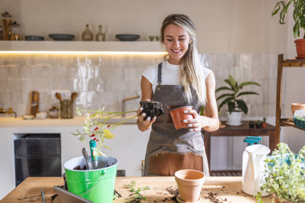 istock Woman potting plants at home 1418573897