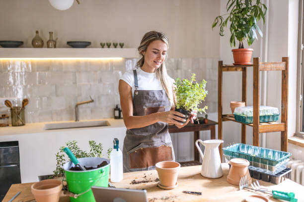 istock Woman potting plants at home 1418574097