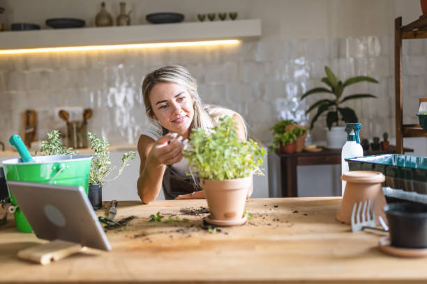istock Taking care of my plants at home 1418574121