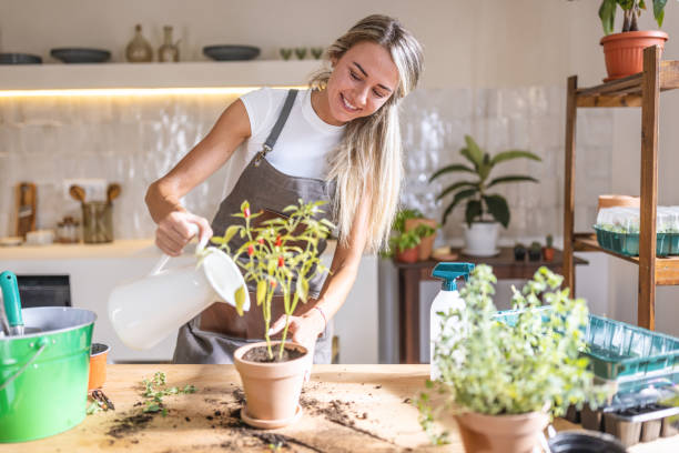 istock Watering my houseplants 1418574154