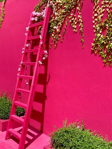Dominican Republic- Puerto Plata - old town - Donna Blanca Street - this is a fuschia pink street dedicated to Donna Blanca, an Italian who opened the first hotel in the Dominican Republic, paving the way for tourism