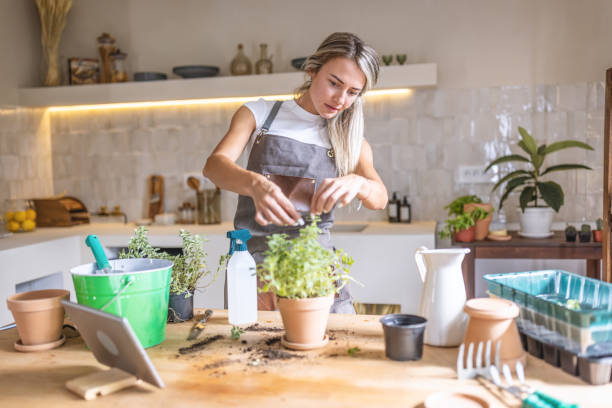 istock Taking care of my plants at home 1418574254