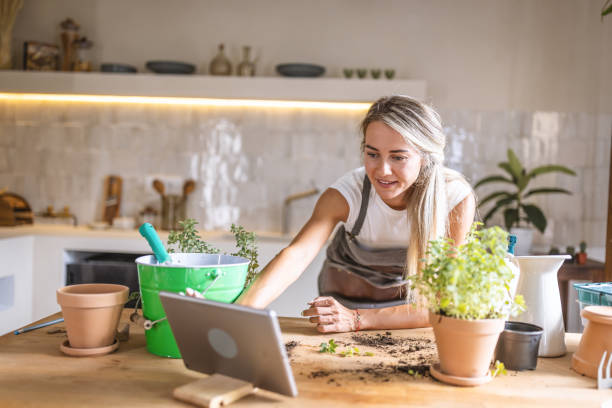 istock Woman replanting plants using online video instructions 1418574307