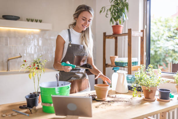 istock Woman potting plants at home 1418574359