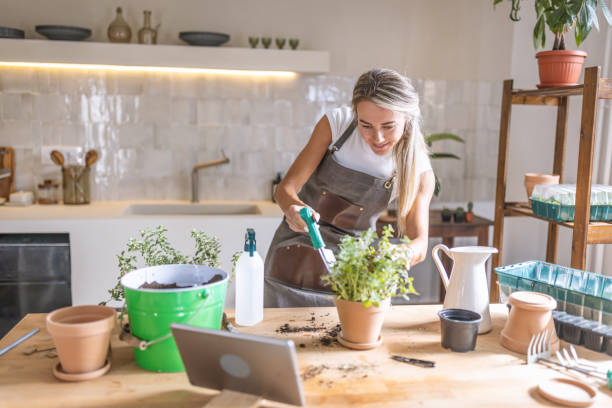 istock Woman potting plants at home 1418574796