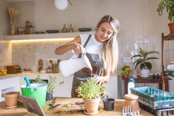 istock Watering my houseplants 1418574862