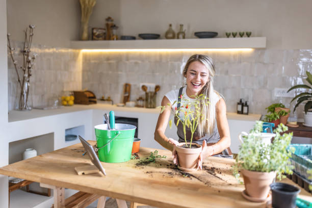 istock Woman potting plants at home 1418574891