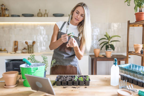 istock Young woman doing gardening at home 1418574911