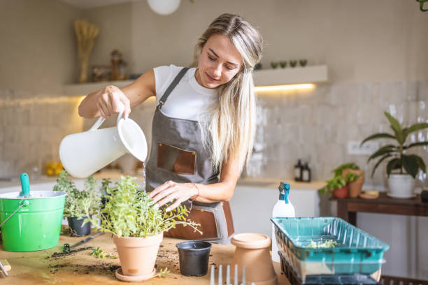 istock Taking care of my plants at home 1418575768